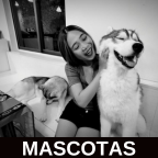 mascotas